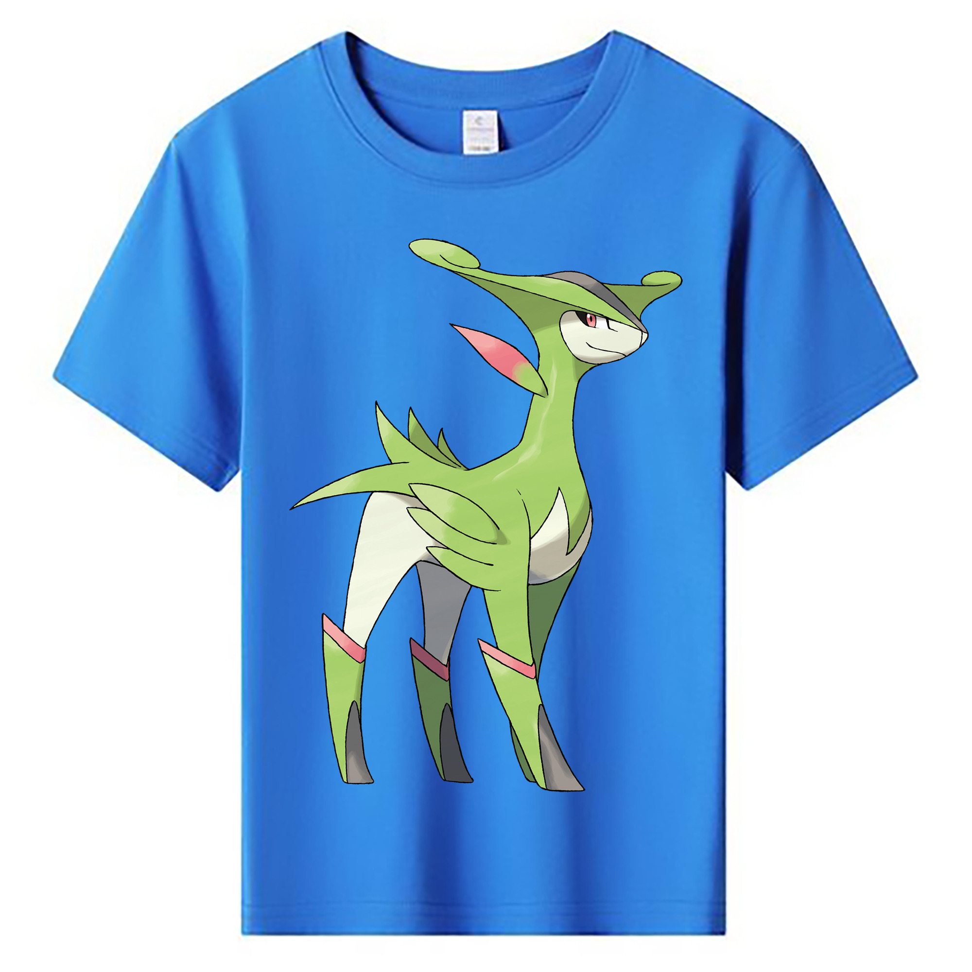 （画像用） ポケットモンスター Pokémon 綿100％キッズTシャツ（フロントプリント）